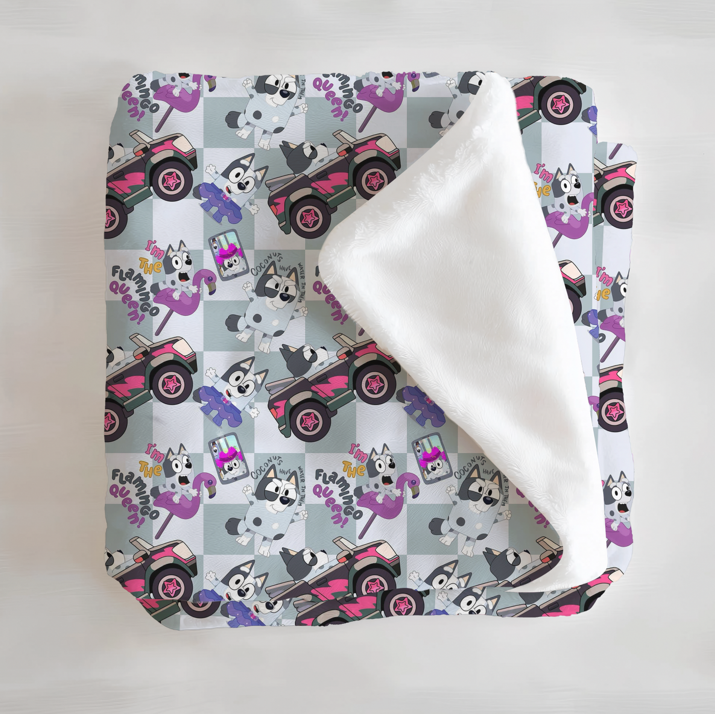 UNACCEPTABLE! Minky Blanket - Little Britches Collaboration