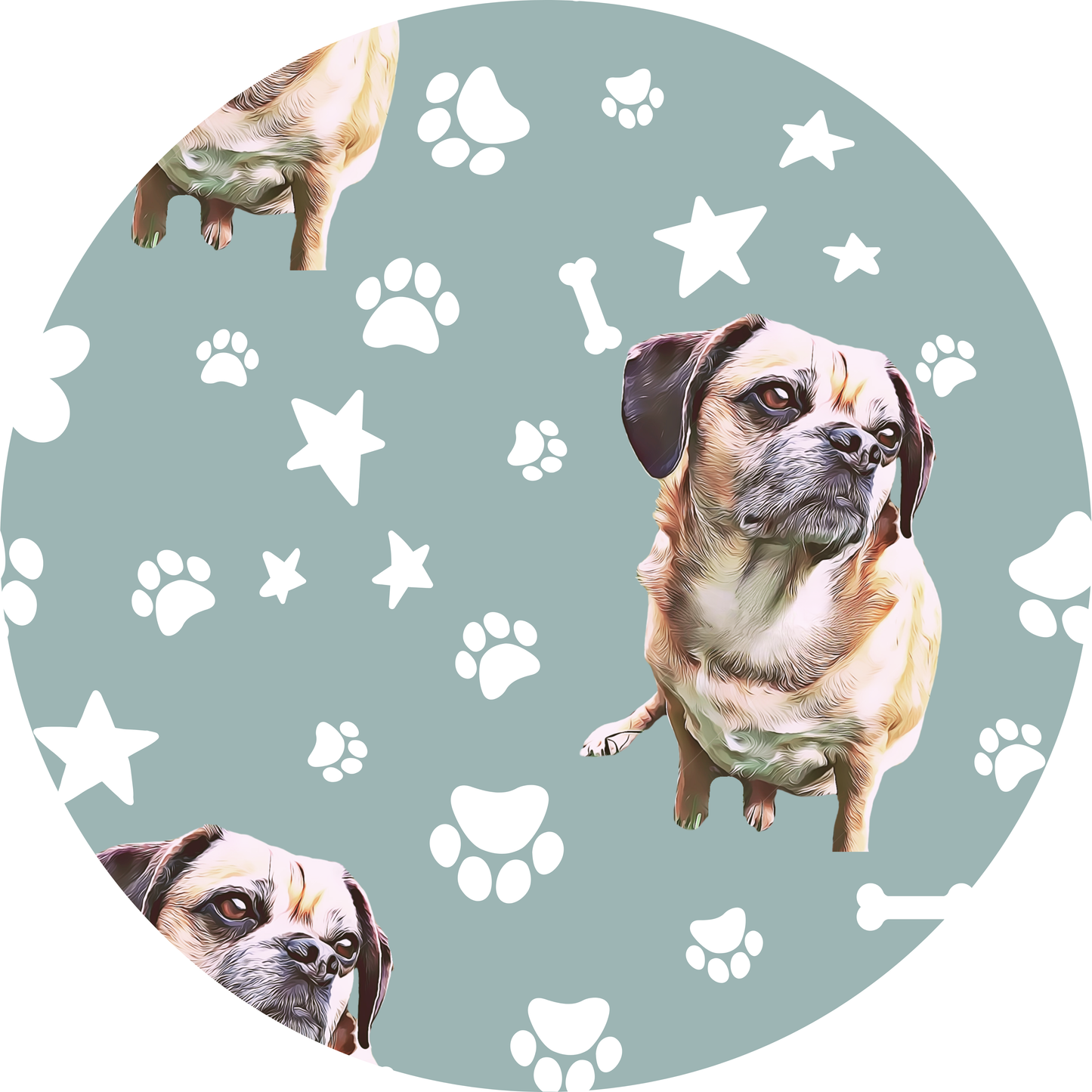 Upload Your Pet! Personalized Name Baby Bodysuit with Custom Pet Cartoon & Name