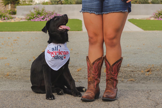 All American Dog Pet Bandana