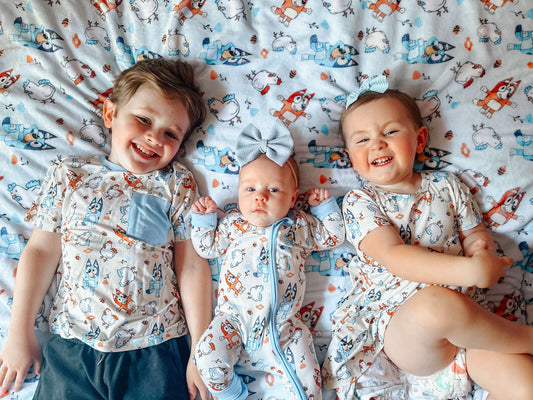 Heeler Chickens 2.0 Minky Blanket - Little Britches Collaboration