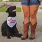 All American Dog Pet Bandana