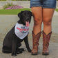 All American Dog Pet Bandana