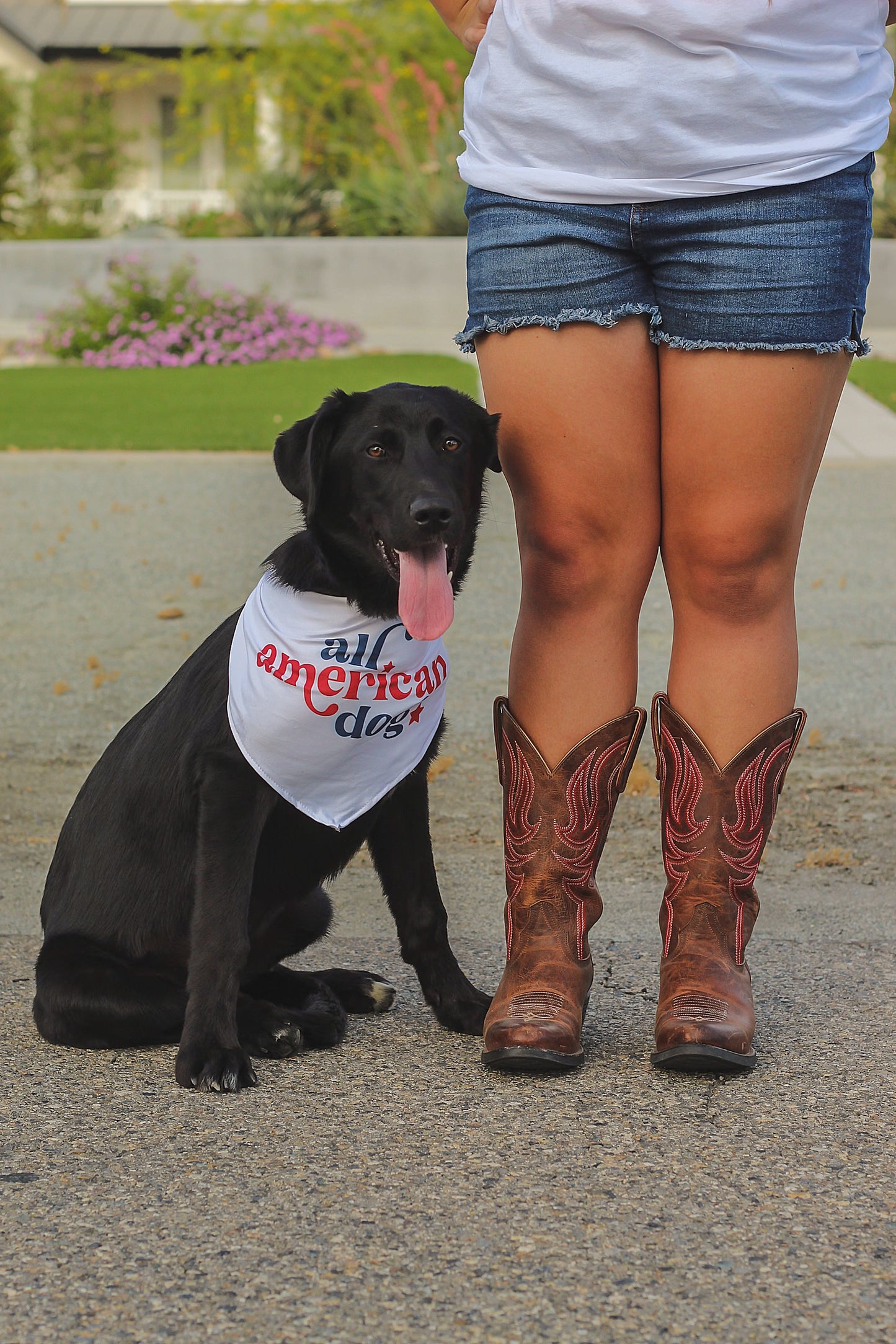 All American Dog Pet Bandana
