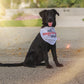 All American Dog Pet Bandana