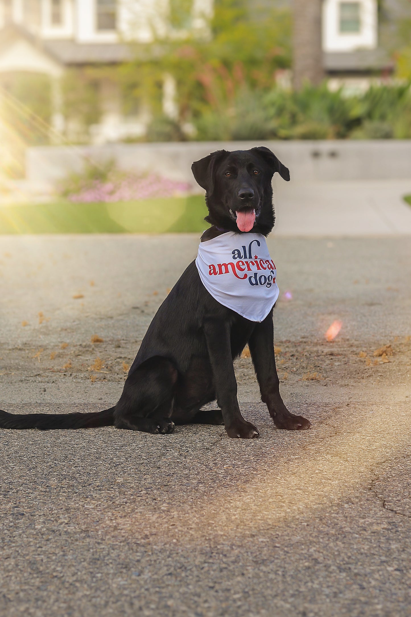 All American Dog Pet Bandana