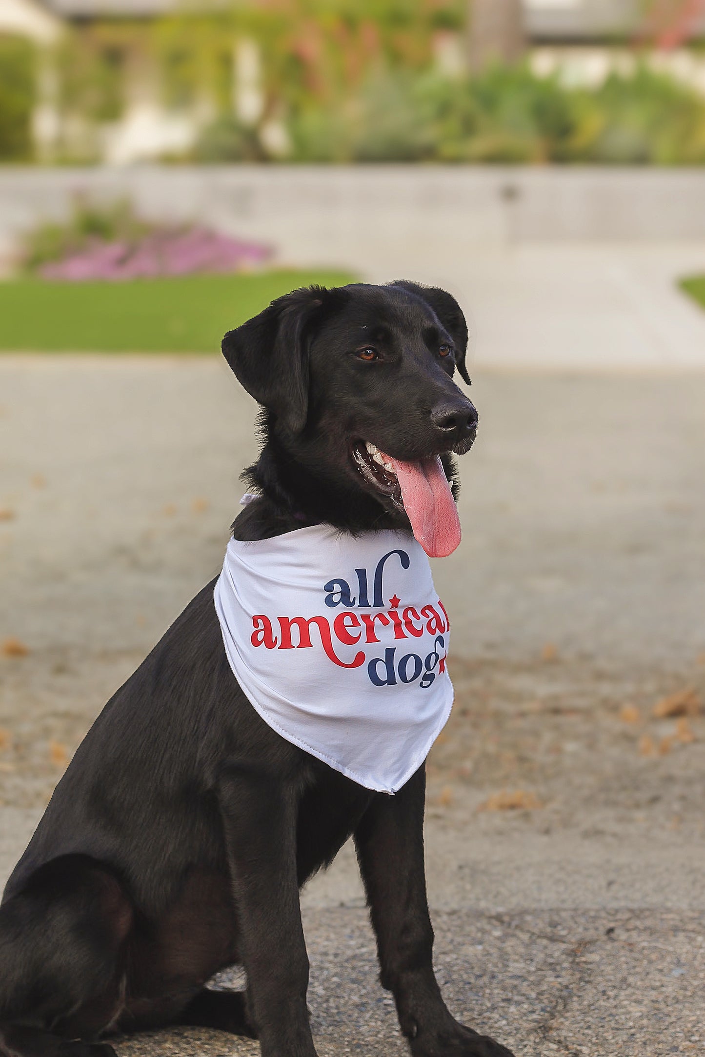 All American Dog Pet Bandana