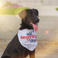 All American Dog Pet Bandana