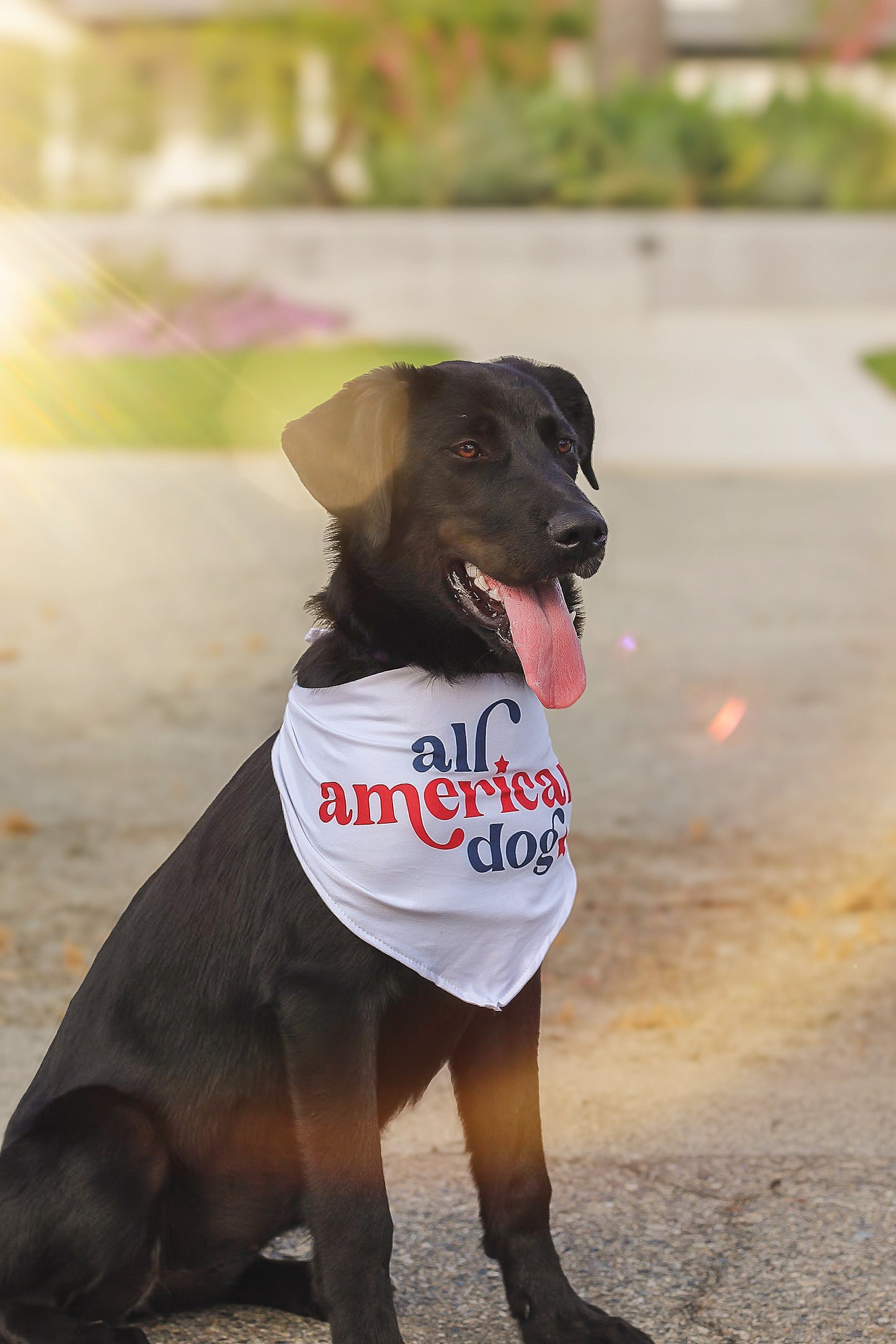 All American Dog Pet Bandana